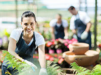 LAP-Vorbereitung Garten- und Grünflächengestaltung LAP-Vorbereitung Garten- und Grünflächengestaltung