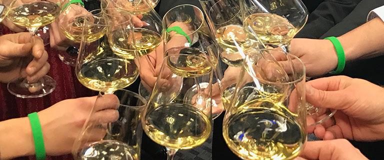 Intensive Training Camp for the A.S.I. International Sommelier Diploma