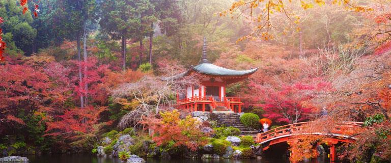 Japanisch A1 – Anfänger Teil 2