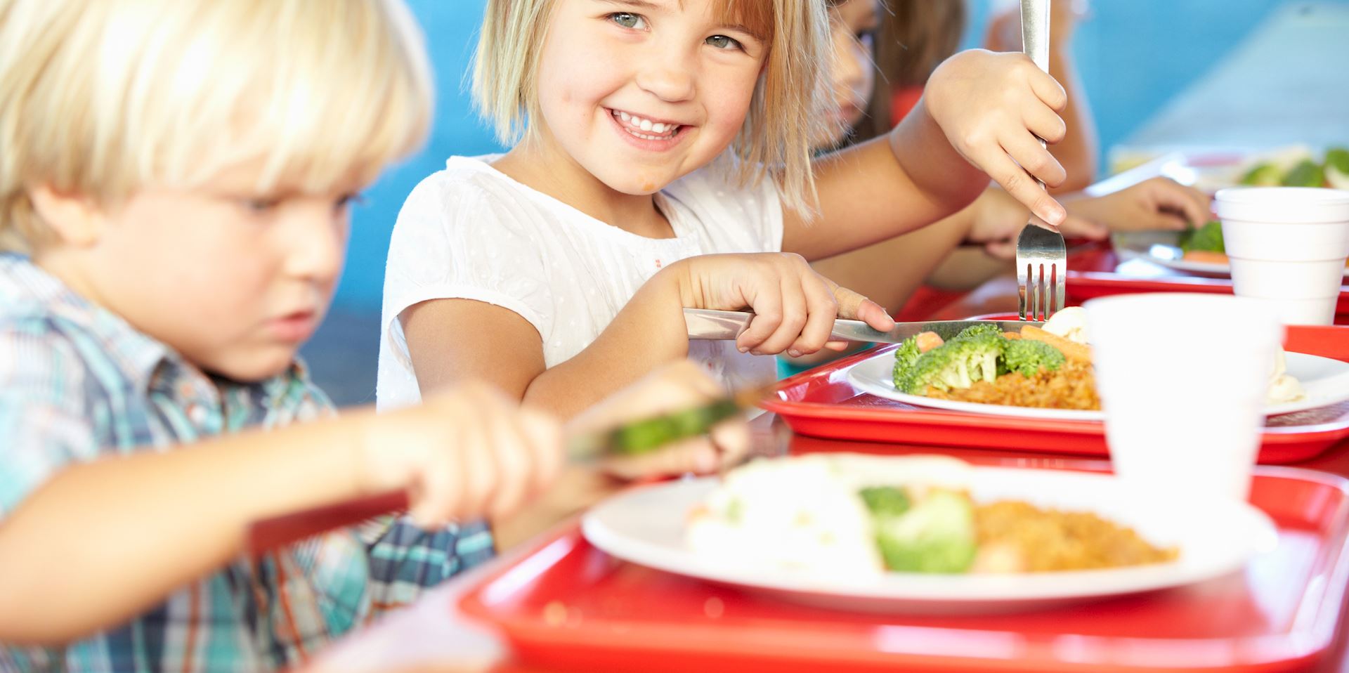 Ernährung - 'Werkzeuge für kindgerechtes Essen und Trinken in elementaren Bildungseinrichtungen'