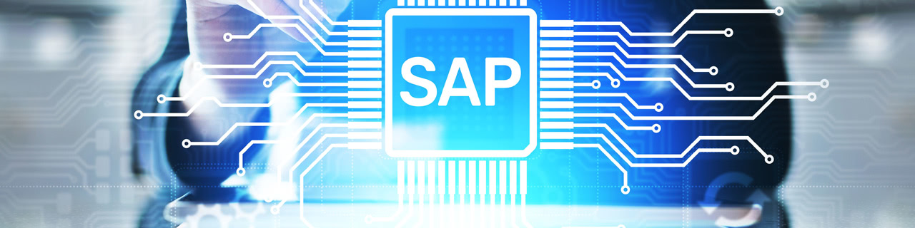 SAP  - Grundlagen