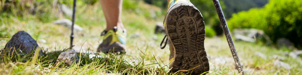 Ausbildung: Outdoor Trainings Course Sales & Analyse
