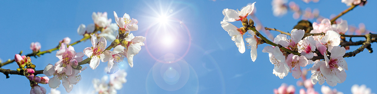 NLP - Neuro-Linguistisches Programmieren
