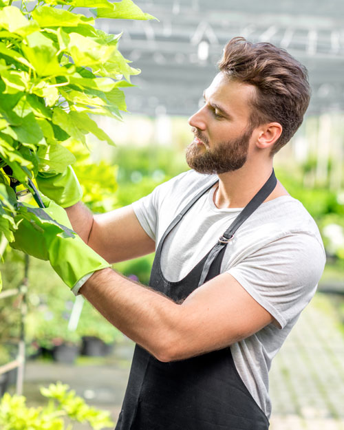 Garten- und Grünflächengestaltung