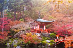 Japanisch A1 – Anfänger Teil 1